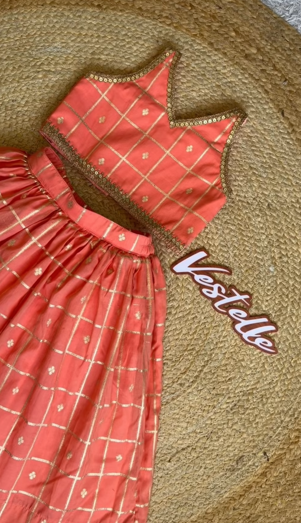 Peach Gold Zari Work Chaniya Choli Set – Vestelle Collection